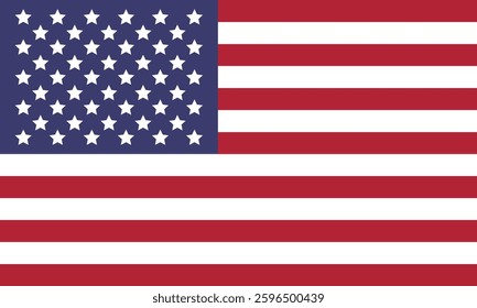 USA flag. United States of America flag. Vector illustration