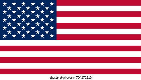 USA flag. United States flag on white background. American flag