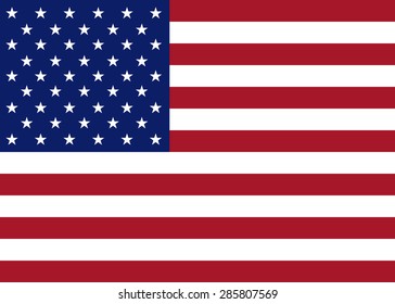 USA flag vector