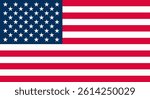 Usa flag vector. America flag
