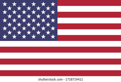 USA flag in a vector format during coronavirus.