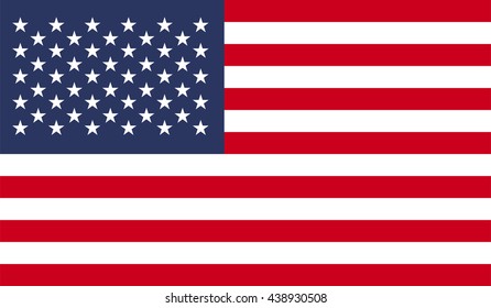 USA flag vector illustration