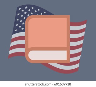 USA flag vector illustration