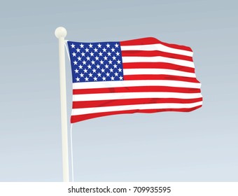 USA flag. vector illustration