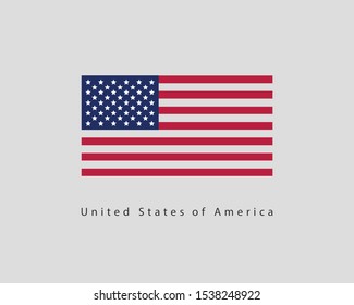 USA flag vector. Modern style United States of America symbol. American banner design element.