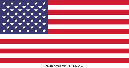 USA flat flag. Flag of america