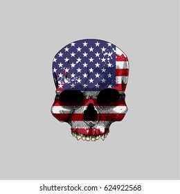 USA Grunge Flag on A head Skull