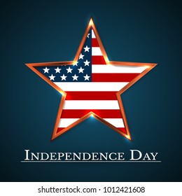 U.S.A INDEPENDENCE DAY VECTOR ILLUSTRATION.