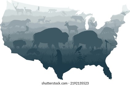 	
USA map - prarie with grey wolf,  kite, bobcat, fox, western meadowlark , heron, scissor-tailed Flycatcher, Prairie dog, puma, deers and brown zubr buffalo bison