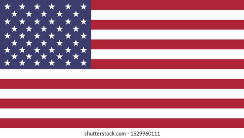 usa national country flag correct size color vector