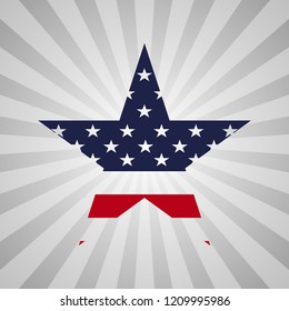 Usa sign star