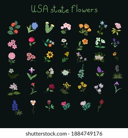 USA state flowers vector collection