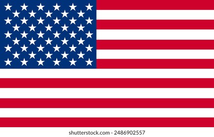 USA, United States of America flag official national flag isolated vector illustration