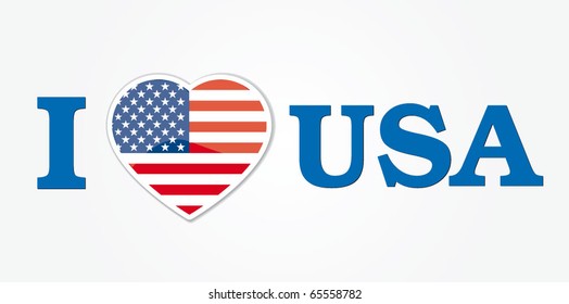 usa vector illustration