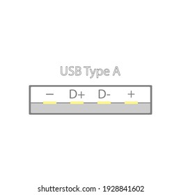 USB connector with signed power and digital signal pins in a simple design with gold pins. View in the section of the plane. Flat vector illustration