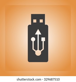 USB Flash Drive Icon