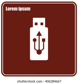 USB Flash Drive Icon
