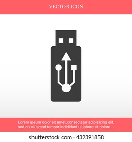 USB Flash Drive Icon
