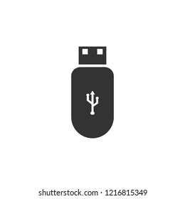Usb flash drive. Icon Flat