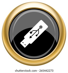 Usb flash drive icon. Internet button on white  background. EPS10 Vector. 