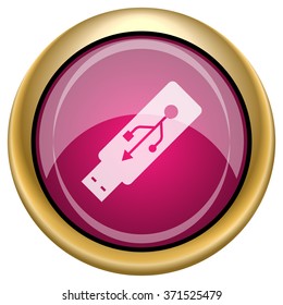 Usb flash drive icon. Internet button on white background. EPS10 vector.