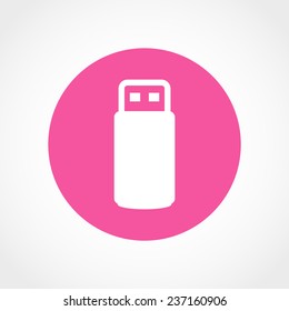 USB flash drive Icon Isolated on White Background