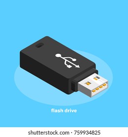 USB Flash Drive, Icon In Isometric Style