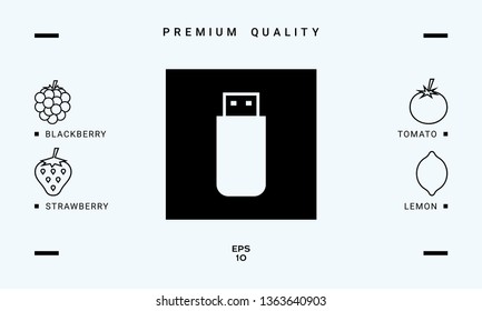 USB flash memory drive icon. Graphic elements for your design