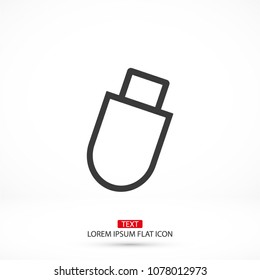 USB flash Vector icon