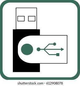 Usb flashcard icon
