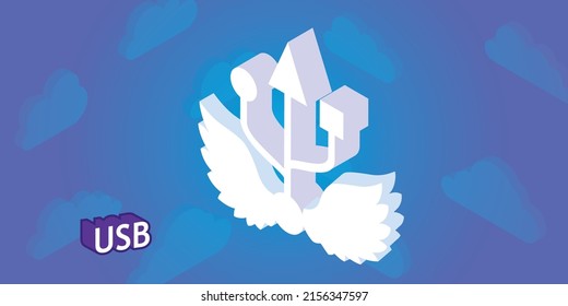 Usb isometric design icon. Vector web illustration. 3d colorful concept