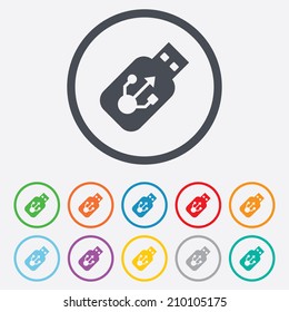 Usb sign icon. Usb flash drive stick symbol. Round circle buttons with frame. Vector