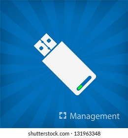 Usb Stick Icon (Management)