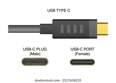 USB Type C Cable with Male Plug and Female Port Socket. Vector.
