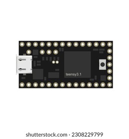 USB-Based Microcontroller Circuit Board Vector Illustration - Empowering Connectivity and Control in a Striking Visual Representation of a Cutting-Edge Development Board