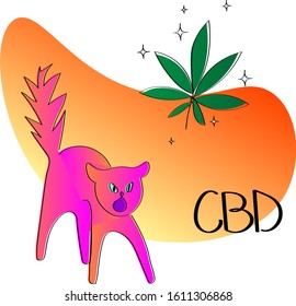 The use of CBD product for anxious and aggressive pets