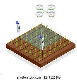 Use of a drone to control crop growth, hydration of mail and pests. Agriculture automation smart farming concept. Isometric vector illustration