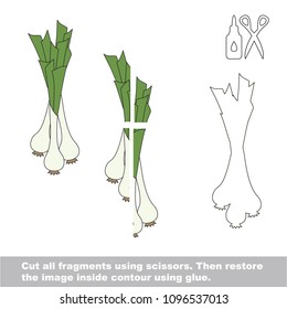 Use scissors and glue and restore the picture inside the contour. Easy educational paper game for kids. Simple kid application with Leek Garlic