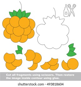 Use scissors and glue and restore the picture inside the contour. Easy educational paper game for kids. Simple kid application with Yellow Cloud berry