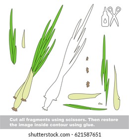 Use scissors and glue and restore the picture inside the contour. Easy educational paper game for kids. Simple kid application with Leek Onion