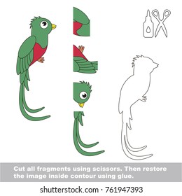 Use scissors and glue and restore the picture inside the contour. Easy educational paper game for kids. Simple kid application with Quetzal Bird