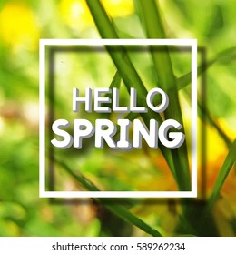 Use this Card for Congratulations. Spring Greeting Postcard. Best vector design. Decorative text with Realistic texture. Art Topical template for banners, brochures, placards, flyers, posters.  