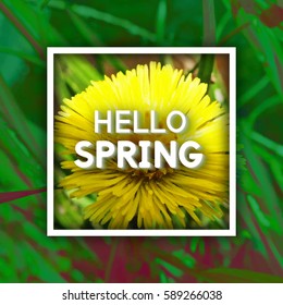 Use this Card for Congratulations. Spring Greeting Postcard. Best vector design. Decorative text with Realistic texture. Art flowering template for banners, brochures, placards, flyers, posters.  
