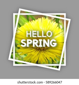 Use this Card for Congratulations. Spring Greeting Postcard. Best vector design. Decorative text with Realistic texture. Art flowering template for banners, brochures, placards, flyers, posters.  