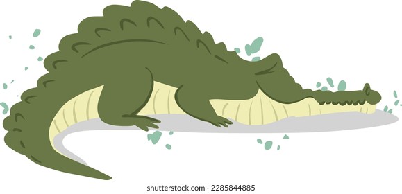 Use this image of a crocodile for your next design.  Everyone will love it!