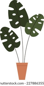 Use this image of monstera in your next design. Everyone will love it!