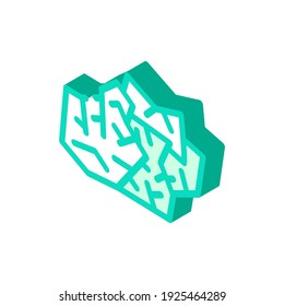 se utiliza borrar el vector de icono isométrico. signo de borrado usado. ilustración de símbolo aislado