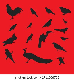 Useful Birds Icon of various birds