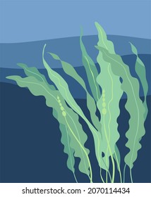 Useful Kelp Seaweed Against The Backdrop Of Ocean Waves. Vector Illustration In Cartoon Style.