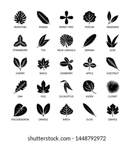 Useful properties leaves silhouette icons vegan analysis vector set of design elements graph line clean air nature rest leaf tree bush berries healthy food vector symbol set